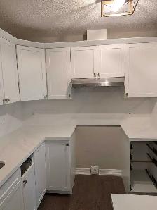 kitchen cabinet door - Photo 3