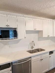 kitchen cabinet door - Photo 4