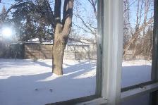 Basement Apartment near Yonge / Steeles - Photo 9