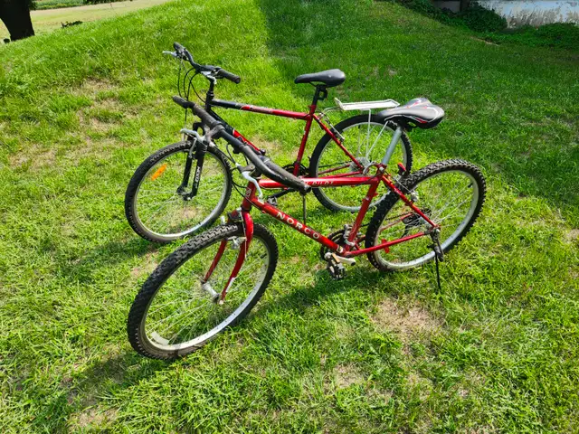 Adult Mountain Bikes For Sale