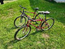 Adult Mountain Bikes For Sale