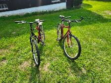 Adult Mountain Bikes For Sale - Photo 4