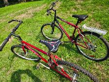 Adult Mountain Bikes For Sale - Photo 7