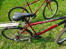 Adult Mountain Bikes For Sale - Photo 8