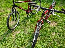 Adult Mountain Bikes For Sale - Photo 9