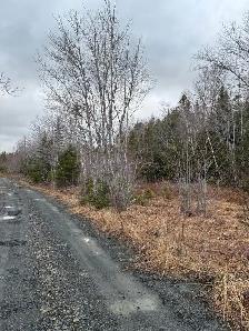 Woodlot with approved shale pit - Photo 2