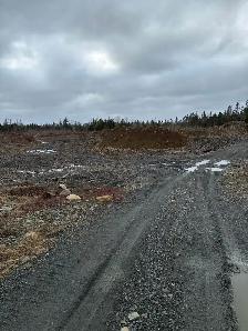 Woodlot with approved shale pit - Photo 3