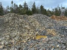 Woodlot with approved shale pit - Photo 4