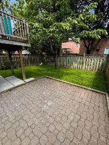 1 Bedroom Basement Apartment for Rent – Ajax