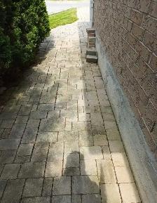 Quality LandScaping/ Window Cleaning - Photo 7