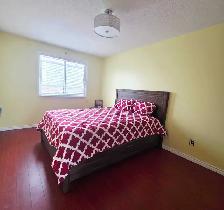 Single Room - 7500 Goreway Dr. $900 SEPT 1st - Photo 2