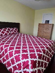 Single Room - 7500 Goreway Dr. $900 SEPT 1st - Photo 3