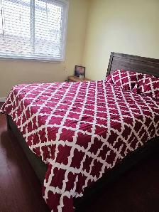 Single Room - 7500 Goreway Dr. $900 SEPT 1st - Photo 4
