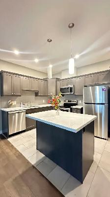Cleaning Services in Niagara Region - Photo 5