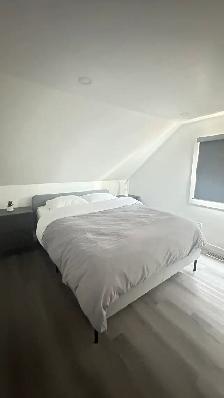 Cleaning Services in Niagara Region - Photo 10