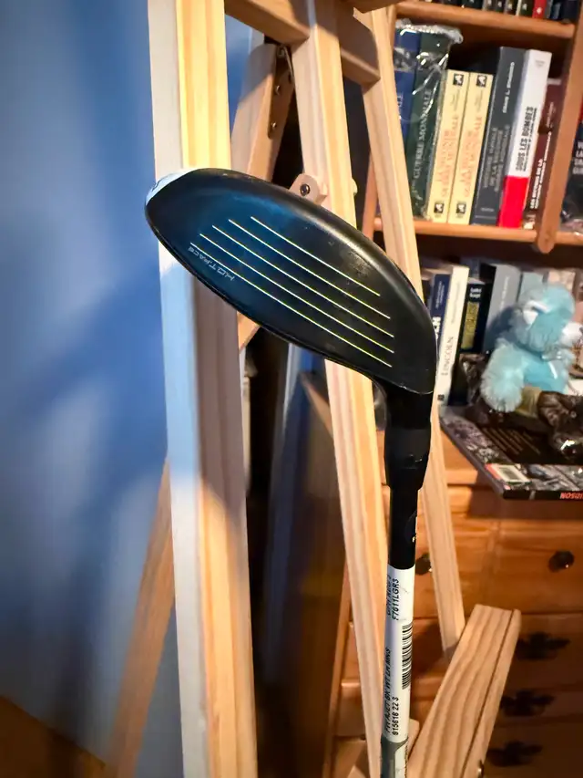 Bois 3 - Gaucher  Cobra