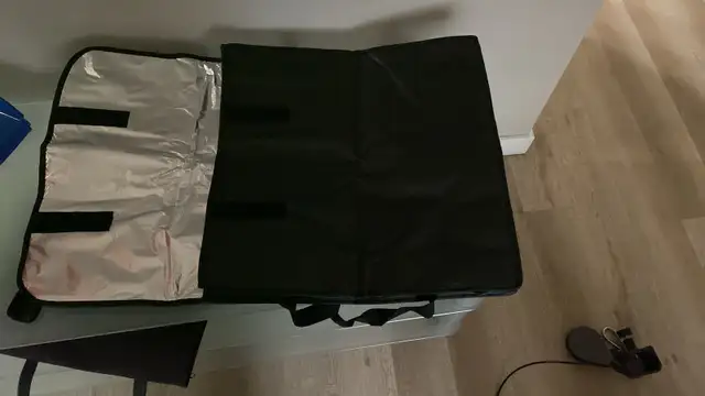 Pizza Delivery Bag