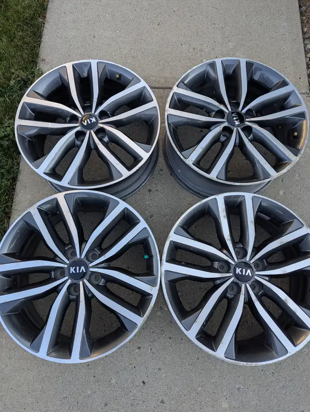 18" Sport Alloy Rims – Set of 4