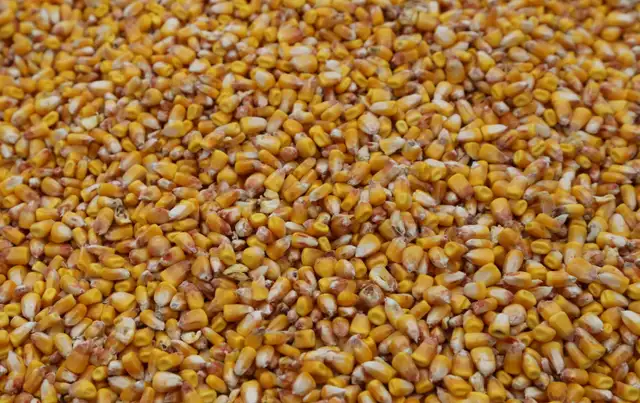 BAGGED DEER FEED FOR SALE