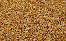 BAGGED DEER FEED FOR SALE