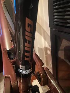 Giant Trance X E Full Suspension E Mountain Bike - Photo 4