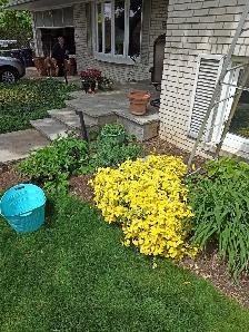 I do labour/gardening/moving and am available! 647-571-9326 - Photo 8