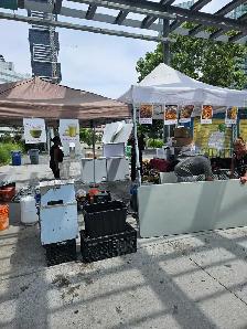 Food counter Job