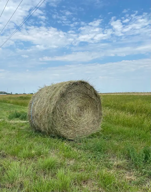 HAY FOR SALE
