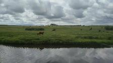 HIRING RANCH FOREMAN - Photo 2