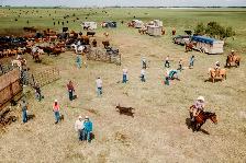 HIRING RANCH FOREMAN - Photo 3
