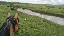 HIRING RANCH FOREMAN - Photo 4