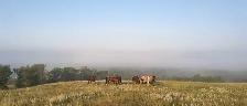 HIRING RANCH FOREMAN - Photo 6