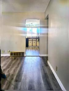 Fully Renovated 3 Bed / 1 Bath Main Floor in Whitehorn  DriveNE - Photo 10