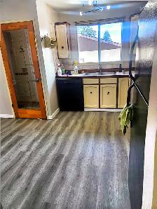 Fully Renovated 3 Bed / 1 Bath Main Floor in Whitehorn  DriveNE - Photo 12