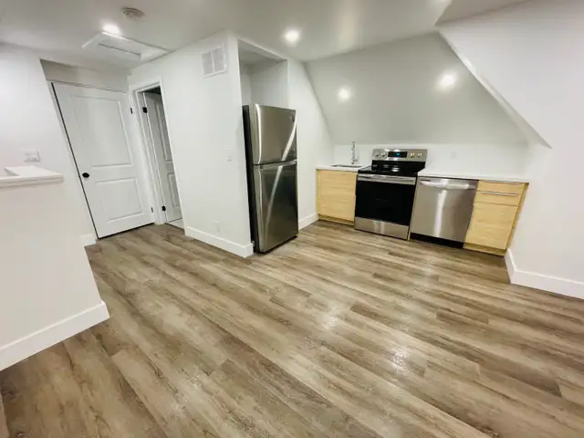 Modern 1 Bedroom Suite (Hamilton, Stipley)