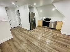 Modern 1 Bedroom Suite (Hamilton, Stipley)