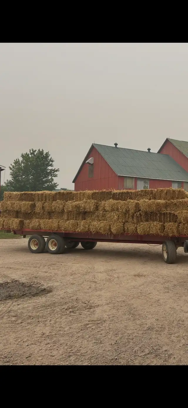 small square straw bales