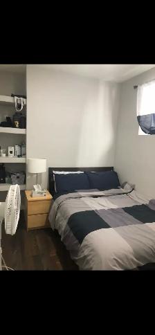 suite for Rent/U of A, South Gate Mall Area - Photo 10