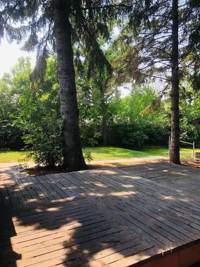 3-Bedroom House in Varsity– Near U of C, LRT & Market mall