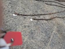 Tractor Chains and Binding Chains - Photo 4