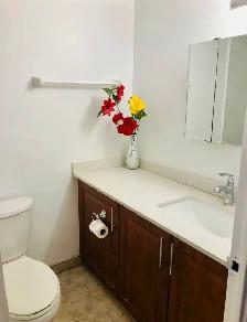 Spacious & Bright 2-Bedroom   Den Apartment for Rent - Photo 9