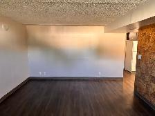 Legal Basement Suite with In-Suite Laundry & Utilities Included - Photo 2