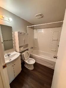 Legal Basement Suite with In-Suite Laundry & Utilities Included - Photo 6
