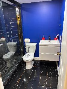 Brand New Basement for rent - Photo 3