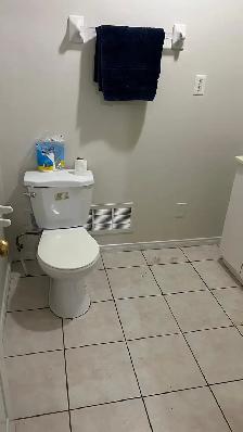 Room for Rent - York University Village - Photo 5