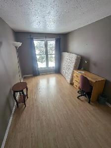 4 min to Algonquin. Woodroffe/Majestic, all inclusive. ASAP