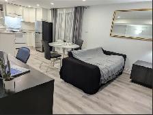 SHORT TERM PRIVATE FURNISHED APARTMENT NORTH YORK - Photo 10