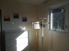 Sept 1, Large Bedroom QEW/Mississauga Rd, all included - Photo 6
