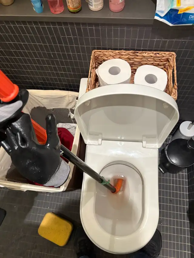 Toilet Issue