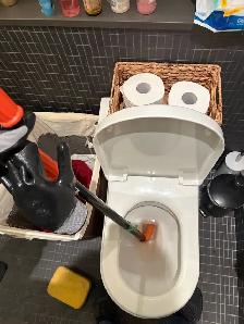 Toilet Issue